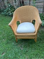 Front view of the wicker chair with cushion on grassy ground and wooden fence background.