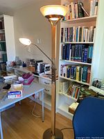 Overview of entire lamp next to furniture