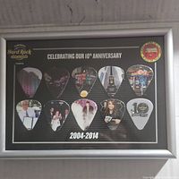 Full frontal photo of the framed 10th Anniversary guitar picks collection from Seminole Hard Rock Tampa showing all 10 picks in an arranged layout with visible text and logos.