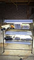 Full view of metal greenhouse rack with fluorescent grow lights and assorted accessories on shelves