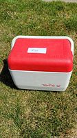 Front view of the Tote 12 cooler sitting on grass, showing the red lid and white base with Tote 12 branding.