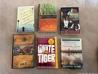Top view of six fiction books showing titles and authors, includes The Guernsey Literary and Potato Peel Pie Society, The Hero's Walk, The Time Traveler's Wife, What the Body Remembers, The White Tiger, Amazing Grace.