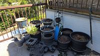 Balcony overview showing majority of planters, soil-filled black planters, dollies and metal trellis