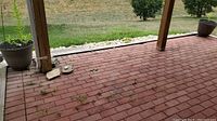 View of outdoor patio with no pots in frame but visible background and ground surface.