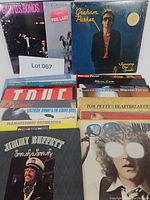 Front view of multiple vinyl records standing upright showing variety of classic rock artists, includes Tom Petty, Warren Zevon, Graham Parker