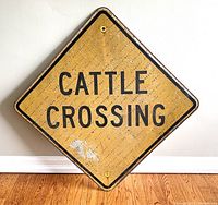 Front view of vintage yellow metal cattle crossing sign with visible surface wear and rust