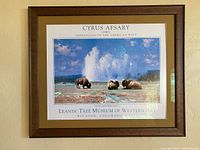 Front view of the framed print titled 'The Land of Many Smokes' by Cyrus Afsary showcasing bison in landscape with blue sky.