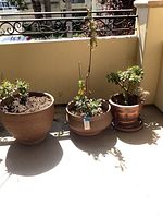All three planters side by side on balcony showing full lot composition