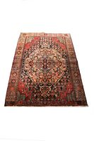 Full view of the rectangular Persian rug showing the central medallion and surrounding geometric patterns in muted natural colors.