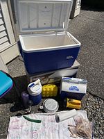 Large blue and white Igloo cooler with open lid revealing interior, small Little Playmate cooler and jug in front, yellow ice cube tray, metal pot with lid, yellow flashlight, picnic cloth with utensils, and other camping accessories arranged on ground outside