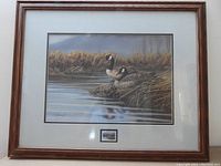 Framed print showing two loons on a marshland with water and reeds.