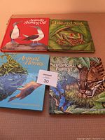 Four children's pop-up books arranged in two rows showing front cover art depicting various animals: frog, birds, wild cat, and birds with nests.