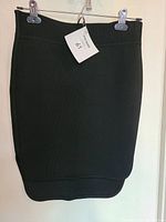Front view of the black Alexander Wang skirt showing fitted pencil silhouette and waistband