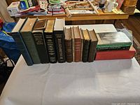 14 varied classic books including Geoffrey Chaucer, English Drama, Mark Twain works, Norton Anthology and other literary volumes.