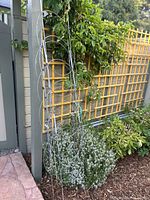 Two metal tomato cages standing outdoors next to a plant and lattice fence in daylight.