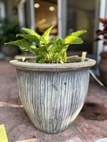 Close-up photo of the vintage ceramic planter with green leafy plant