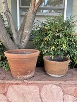Two terra cotta planters side by side on a stone ledge, showing natural wear with white mineral deposits on their bases and a background of greenery.