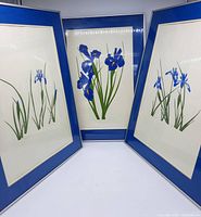 Three framed blue iris flower prints shown together, angled to display each piece.