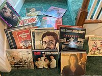 Overview of the vinyl record collection laid on carpeted floor, showing a mix of folk, comedy, and pop culture albums from the 1950s-60s era.