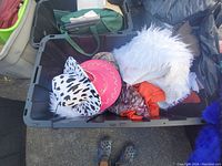 Top-down view into plastic bin containing multiple cowgirl hats including a pink with white stitching hat, a spotted black and white hat, and a fluffy white feathered hat along with other fabric items.