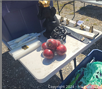 Outdoor photo showing a white folding table with assorted decorative items including a black dog figurine with gold crown, white taper candles, faux apples, black spherical decor, small gold animal figurines, and a wooden sign.
