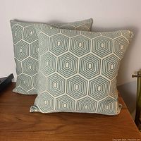 Two large square pillows side by side showing geometric hexagonal pattern in turquoise and off-white on a wooden surface.