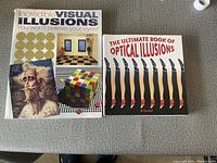 Two hardcover books on optical illusions laid flat, showing colorful illusion images on their covers.