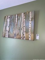 Large unframed print depicting birch trees on a green wall background.