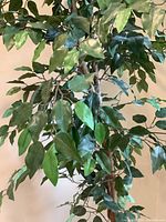 Close-up of green leaves and branches showing plastic and fabric materials
