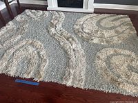 Full view of the modern area rug laid flat on wood floor, showing overall color and design.