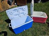 Blue Rubbermaid cooler open showing interior and molded lid with cup holders beside the red Igloo cooler also open