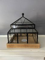 Front view of the Pier One glass terrarium with black metal framing and wooden base