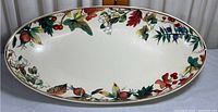 Top-down view of the oval ceramic platter showing full fruit and leaf motif decoration around the inside edge.