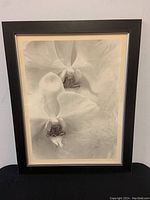 Full front view of framed print showing overall appearance