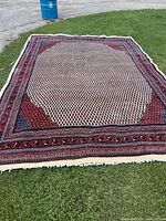 Overall view of the carpet laid out on grass