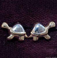 Front view of the pair of turtle-shaped gold earrings on dark fabric