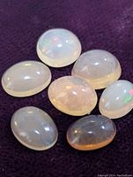 Five polished opal cabochon gemstones on dark purple fabric showing translucent to milky white appearance with some color flashes.
