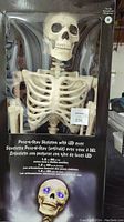 Skeleton figure inside packaging showing full torso, skull, and LED illuminated eyes.