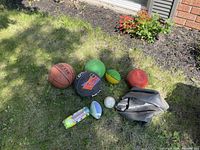 Various sports balls including basketballs, volleyball, football, baseball, tennis balls, and a black leather bag on grass near a house wall.