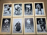 Full view of all 8 hockey cards laid out on a surface showing players' images and names.