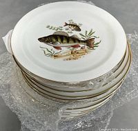 Stack of fish plates showing gold rim and fish design on top plate