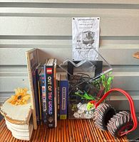Photo showing youth books, LEGO books, dinosaur book, the LED aquarium kit with artificial plants, rocks, and aquarium equipment, and a Monster Jam headset with red ear cushions.