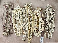 Photo of seven shell necklaces and leis arranged on a light surface, showing varied natural shell materials and flower-like arrangements.