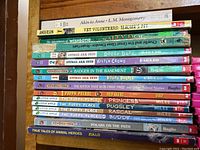 Stack of assorted children's chapter books featuring diverse titles and series including Animal Ark, Wishbone, Little Apple Puppy, and others.