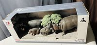 Boxed set of six realistic hippo family animal models including adult and baby hippos with a tree accessory, displayed inside original packaging showing brand and product details.