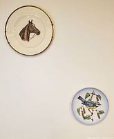 Two porcelain collector's plates hung on wall. Top plate with brown horse portrait, bottom plate with Blue Titmouse bird on branches.