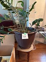 Wide shot of live ZZ plant in brown woven-look plastic pot placed on wooden plant stand with round top and carved legs. Plant has multiple upright stems and thick dark green leaves.