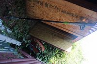 Electric pole saw approximately 84 inches long leaning against a garden shed with its saw blade visible at the top and an aluminum ladder in the background.