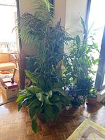 Tall grouped faux plants including palm, leafy green plants, and floral arrangements by a window.