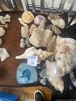 Photo of assorted sea shells, coral pieces, stones, a blue geode slice, and a sand dollar candle holder with white candle on a wooden table, showing variety and condition of specimens